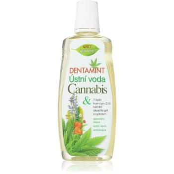 Bione Cosmetics Dentamint Cannabis apă de gură 500 ml