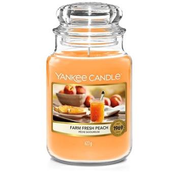 YANKEE CANDLE Farm Fresh Peach  623 g (5038581123578)