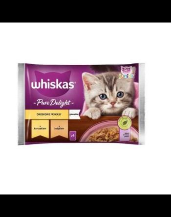 WHISKAS Pure Delight Junior hrana pisoi 4x85g tocanita pui si curcan in aspic