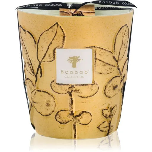 Baobab Collection Folia Garrigue lumânare parfumată 16 cm