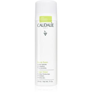 Caudalie Cleaners & Toners spray pe baza de apa pentru reimprospatare 200 ml