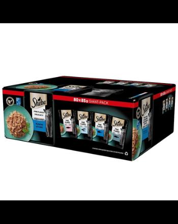 SHEBA Delicacy Fish Flavours in Jelly Plicuri hrana pisica, in aspic 80 x 85g somon, peste alb, ton si cod