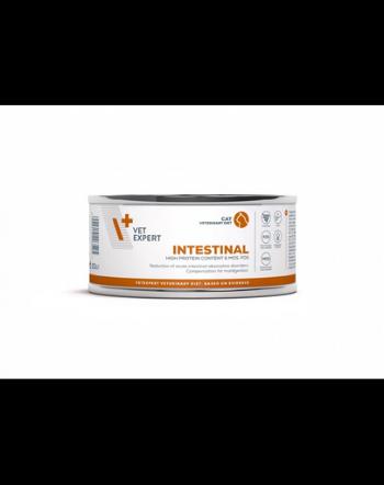 VET EXPERT Veterinary Diet Cat Intestinal 100 g hrana umeda veterinara pisici cu tulburari digestive