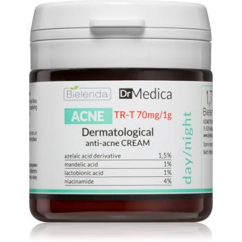 Bielenda Dr Medica Acne cremă pentru față pentru tenul gras, predispus la acnee 50 ml