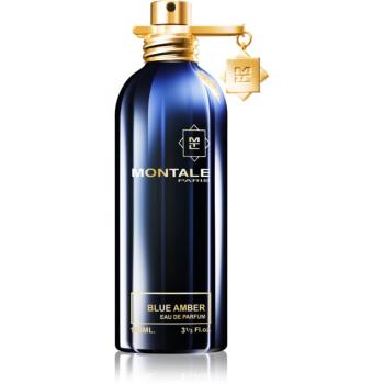 Montale Blue Amber Eau de Parfum unisex 100 ml