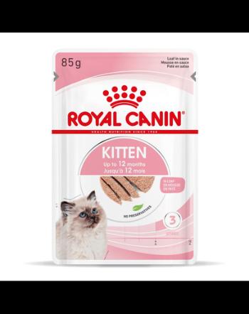 Royal Canin Kitten In Loaf hrana umeda pate pentru pisica, 12 x 85 g