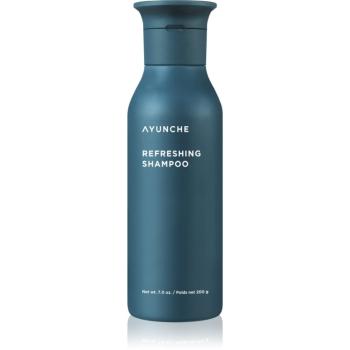 AYUNCHE Refreshing Shampoo sampon revigorant pentru par si scalp gras 200 g