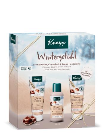 Kneipp Set cadou Îngrijire de iarnă