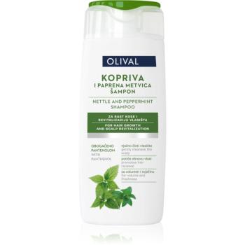 Olival Treatment Nettle and Peppermint sampon pe baza de plante cu menta 250 ml