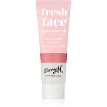 Barry M Fresh Face blush lichid și luciu de buze culoare Summer Rose 10 ml