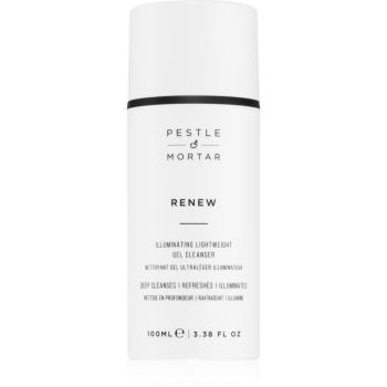 Pestle & Mortar RENEW gel de curatare facial 100 ml