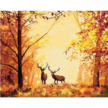 Maľovanie podľa čísel – Jelene v lese (HRAbz33229nad)