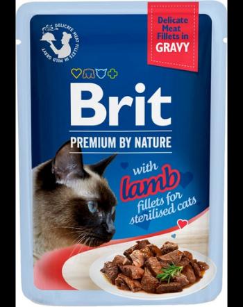 BRIT Premium By Nature Fillets in Gravy for Sterilized Cats cu miel 24x85g hrana umeda pisici sterilizate