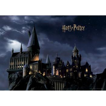 Foto-tapet copii Harry Potter 252 x 182 cm, 4 piese