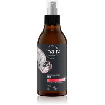 OnlyBio Hair Of The Day tratament pentru îngrijirea părului fără clătire pentru par ondulat si cret 300 ml