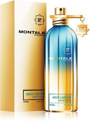 Montale Aoud Lagoon - EDP - TESTER 100 ml