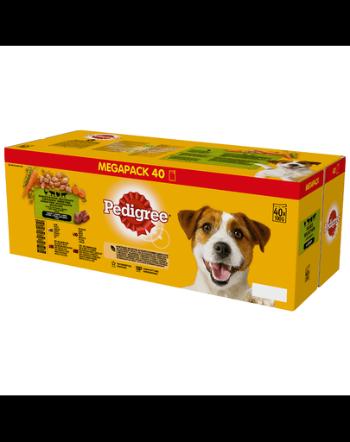 PEDIGREE Adult hrana umeda caini adulti 40x100g mix arome in sos cu legume