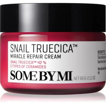 Some By Mi Snail Truecica Miracle Repair zklidňující a hydratační krém 60 g