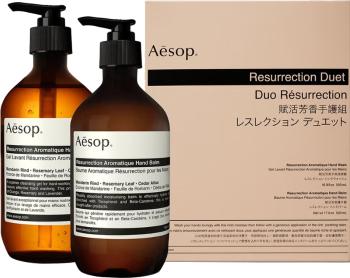 Aesop Set cadou pentru îngrijirea mâinilor Resurrection Duet