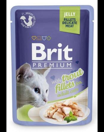 BRIT Premium Cat  Fillets in Jelly pastrav in aspic 24x85 g hrana pisica