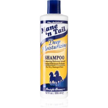 Mane 'N Tail Deep Moisturizing sampon hidratant pentru păr uscat și deteriorat 355 ml