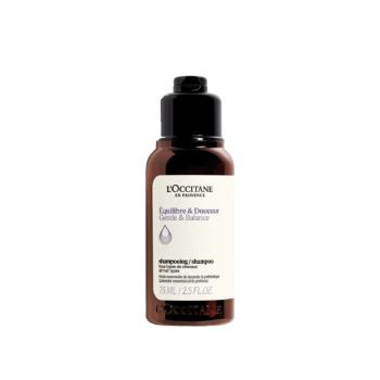 L'Occitane en Provence Șampon pentru restabilirea echilibrului scalpului Gentle & Balance (Shampoo) 75 ml