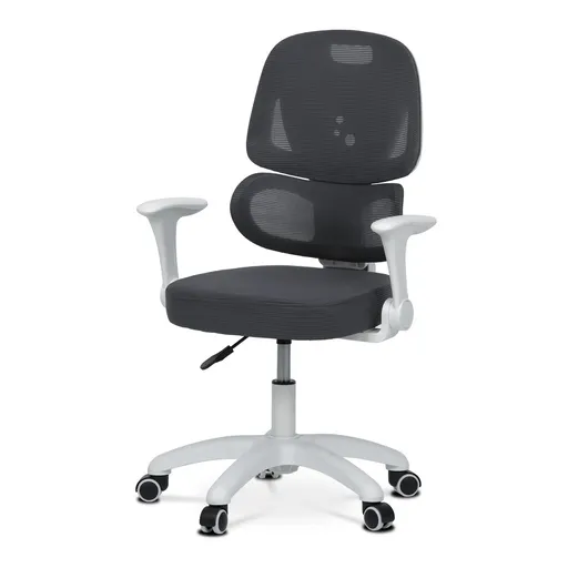 Scaun de birou Autronic KA-K1063 GREY , gri, gri