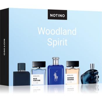 Beauty Discovery Box Notino Woodland Spirit set pentru bărbați