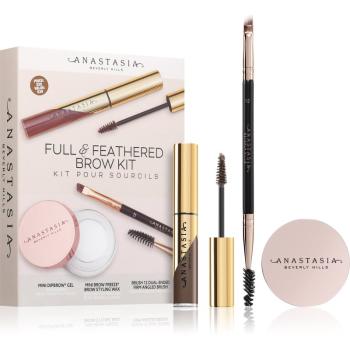 Anastasia Beverly Hills Full & Feathered Brow Kit Mini kit pentru sprâncene culoare Soft Brown