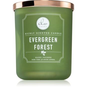 DW Home Signature Evergreen Forest lumânare parfumată 445 g
