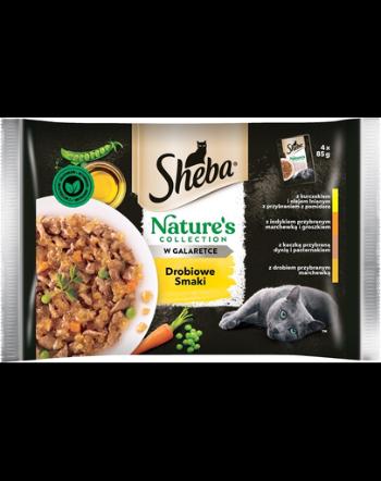 SHEBA Nature’s Collection Plicuri hrana umeda pisici, cu pasare 13x(4x85g)