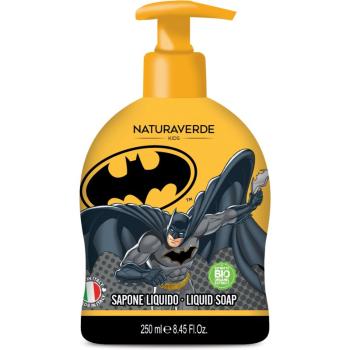 DC Comics Batman Liquid Soap săpun lichid Blue Energy 250 ml