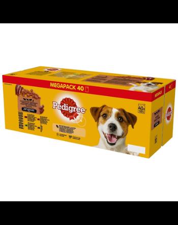 PEDIGREE Adult Hrana umeda caini, mix arome 40x100 g vita, miel, ficat si rata