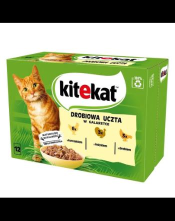 KITEKAT Pasare in aspic 12x85g hrana umeda pentru pisici cu pui, curcan, pasare