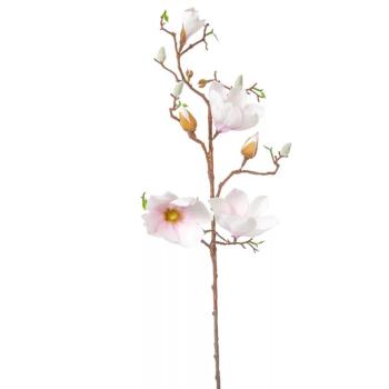 Magnólia 3 ágú 80 cm - púder
