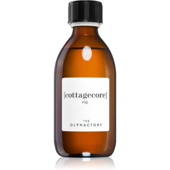 Ambientair The Olphactory Fig reumplere în aroma difuzoarelor Cottagecore 250 ml
