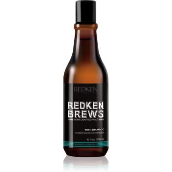 Redken Brews șampon stimulator, cu mentol, pentru păr și scalp 300 ml