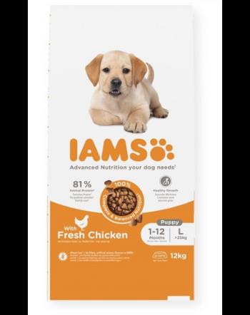 IAMS ProActive Health Puppy &amp; Junior Large Breed cu carne de pui 12 kg