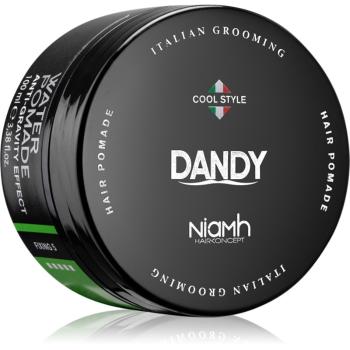 DANDY Water Pomade Anti-Gravity Effect pomadă de păr fixare puternică 100 ml