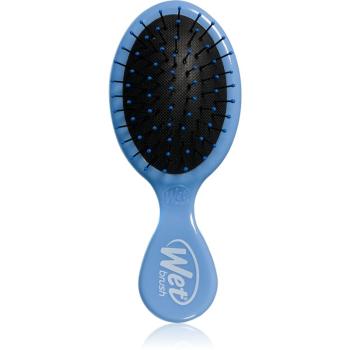 Wet Brush Mini Detangler Sky perie de par pentru par usor de pieptanat Sky 1 buc