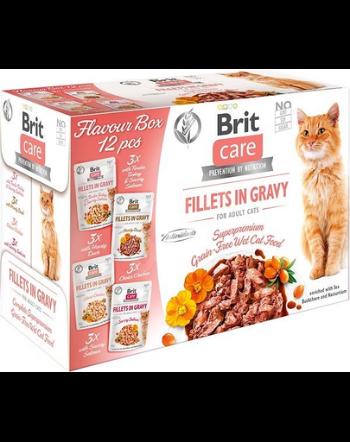 BRIT Care Cat mix hrană umedă pentru pisici adulte 12 x 85 g