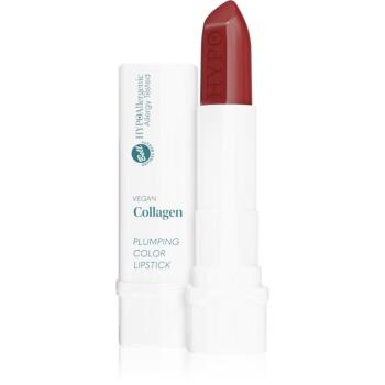 Bell Hypoallergenic ruj culoare 05 Plum 4 g