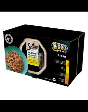 SHEBA Selection Hrana umeda pisica 32x85 g cu pui si curcan, pui, pasare, curcan in sos