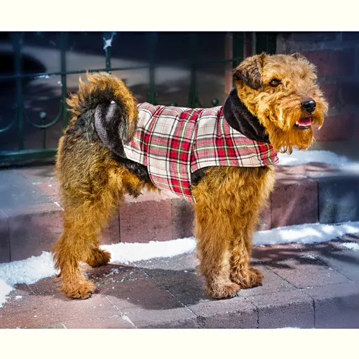 Palton pentru câinele Charlie S