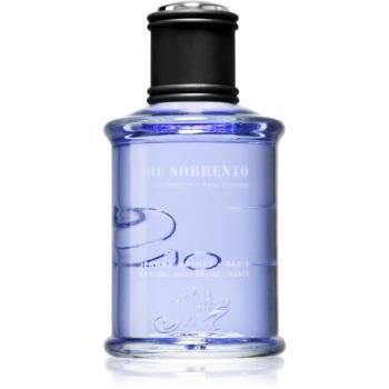 Jeanne Arthes J.S. Joe Sorrento Eau de Parfum pentru bărbați 100 ml