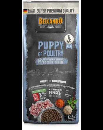 BELCANDO Junior Poultry hrana fara cereale pentru caini juniori, talie M-XL, 12,5 kg