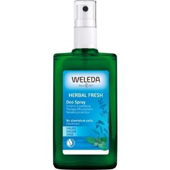 Weleda Deodorant din salvie 100 ml