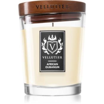 Vellutier African Olibanum lumânare parfumată 225 g