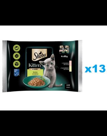 SHEBA Kitten plicuri 52x85g hrana umeda pisoi, somon si pui in sos
