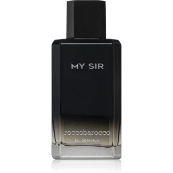 Roccobarocco My Sir Eau de Parfum pentru bărbați 100 ml